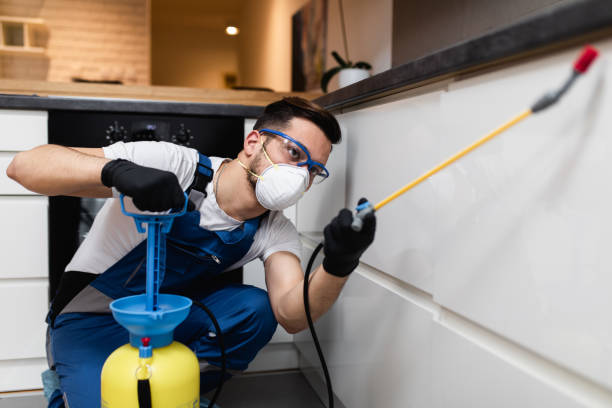Best Affordable Pest Control Services  in Oak Ridge, NC