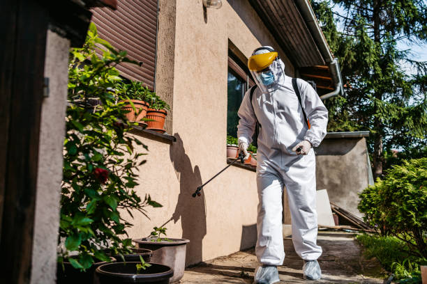 Best Flea Control Services  in Oak Ridge, NC
