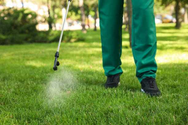 Best Pest Control Treatment  in Oak Ridge, NC