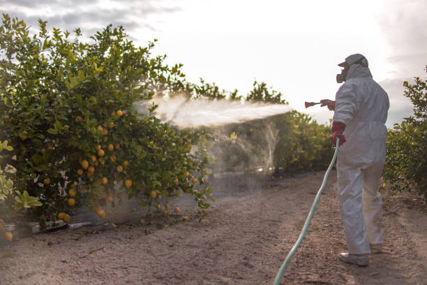 Best Cockroach Control Services  in Oak Ridge, NC