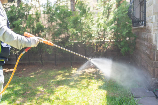 Best Affordable Pest Control Services  in Oak Ridge, NC