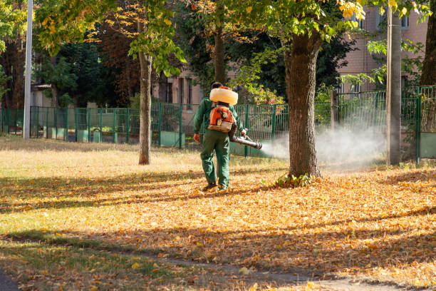 Pest Control for Restaurants in Oak Ridge, NC