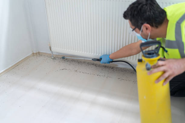 Best Pest Control Near Me in Oak Ridge, NC